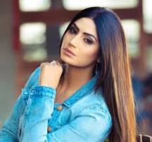 Model Simran Dhiman Contact Details, Instagram ID, House Address