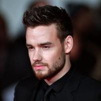 Singer Liam Payne Contact Details, Current Location, Biodata, Email Account